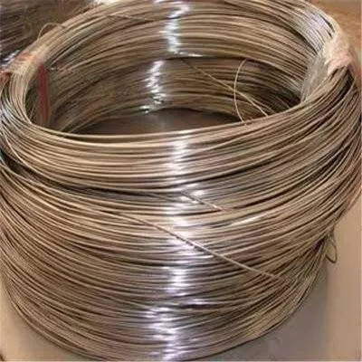 Titanium fil gr1 pi 50mm fil wonn